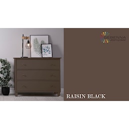 RAISIN BLACK SKAENK.jpg